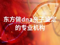 东方做dna亲子鉴定的专业机构