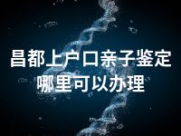 昌都上户口亲子鉴定哪里可以办理