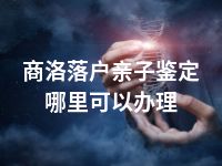 商洛落户亲子鉴定哪里可以办理