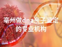 亳州做dna亲子鉴定的专业机构