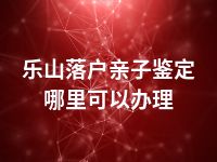 乐山落户亲子鉴定哪里可以办理