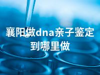 襄阳做dna亲子鉴定到哪里做