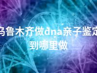 乌鲁木齐做dna亲子鉴定到哪里做