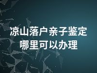 凉山落户亲子鉴定哪里可以办理