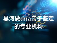 黑河做dna亲子鉴定的专业机构