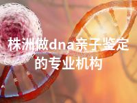 株洲做dna亲子鉴定的专业机构