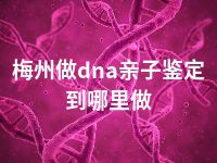 梅州做dna亲子鉴定到哪里做