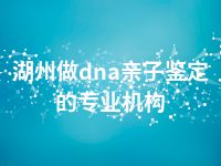 湖州做dna亲子鉴定的专业机构