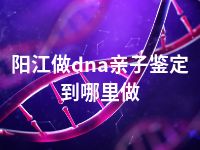 阳江做dna亲子鉴定到哪里做