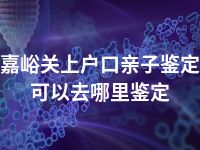 嘉峪关上户口亲子鉴定可以去哪里鉴定