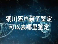 铜川落户亲子鉴定可以去哪里鉴定