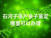 石河子落户亲子鉴定哪里可以办理