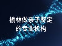 榆林做亲子鉴定的专业机构