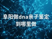 阜阳做dna亲子鉴定到哪里做