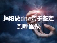 揭阳做dna亲子鉴定到哪里做