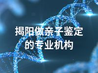 揭阳做亲子鉴定的专业机构