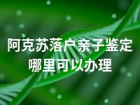 阿克苏落户亲子鉴定哪里可以办理