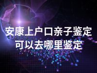 安康上户口亲子鉴定可以去哪里鉴定