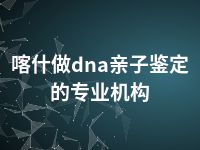 喀什做dna亲子鉴定的专业机构