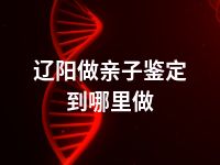 辽阳做亲子鉴定到哪里做