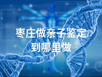 枣庄做亲子鉴定到哪里做