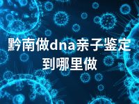 黔南做dna亲子鉴定到哪里做