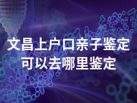 文昌上户口亲子鉴定可以去哪里鉴定