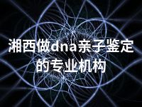 湘西做dna亲子鉴定的专业机构