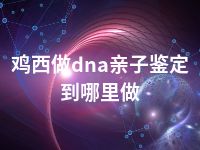 鸡西做dna亲子鉴定到哪里做