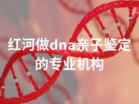 红河做dna亲子鉴定的专业机构