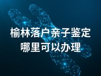 榆林落户亲子鉴定哪里可以办理