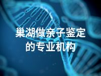 巢湖做亲子鉴定的专业机构