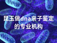 昆玉做dna亲子鉴定的专业机构