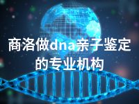 商洛做dna亲子鉴定的专业机构