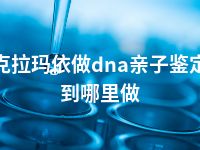 克拉玛依做dna亲子鉴定到哪里做