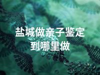 盐城做亲子鉴定到哪里做