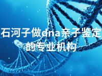 石河子做dna亲子鉴定的专业机构