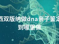 西双版纳做dna亲子鉴定到哪里做