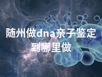 随州做dna亲子鉴定到哪里做