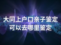 大同上户口亲子鉴定可以去哪里鉴定