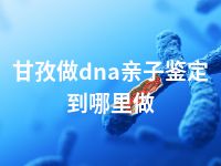 甘孜做dna亲子鉴定到哪里做