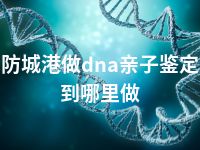 防城港做dna亲子鉴定到哪里做