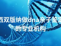 西双版纳做dna亲子鉴定的专业机构