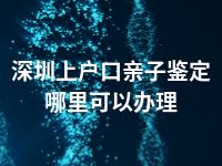 深圳上户口亲子鉴定哪里可以办理