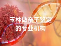 玉林做亲子鉴定的专业机构