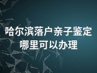 哈尔滨落户亲子鉴定哪里可以办理