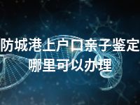 防城港上户口亲子鉴定哪里可以办理