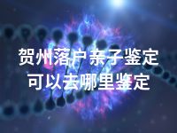 贺州落户亲子鉴定可以去哪里鉴定