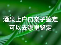 酒泉上户口亲子鉴定可以去哪里鉴定