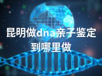 昆明做dna亲子鉴定到哪里做